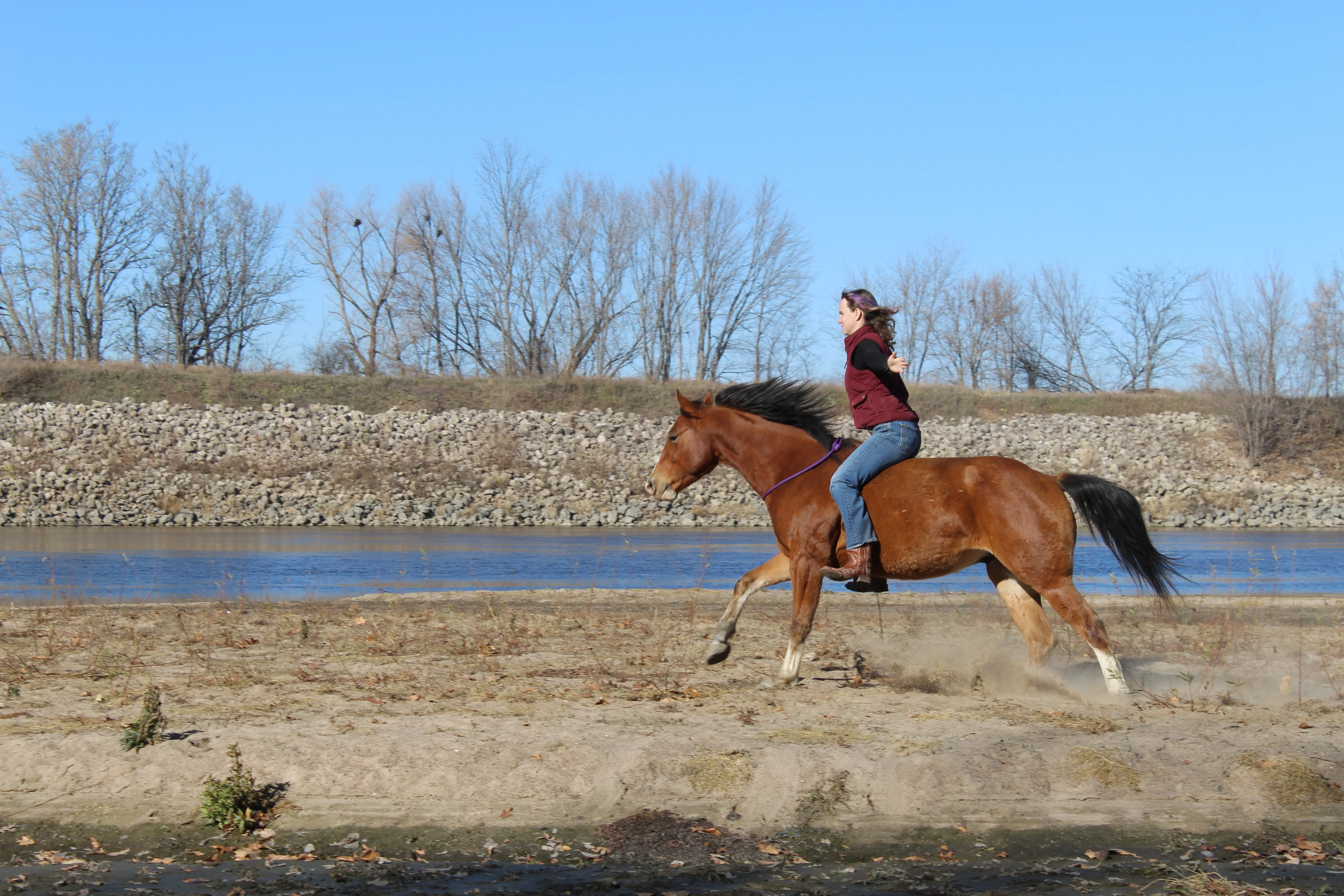 Quiet connection between horse and rider