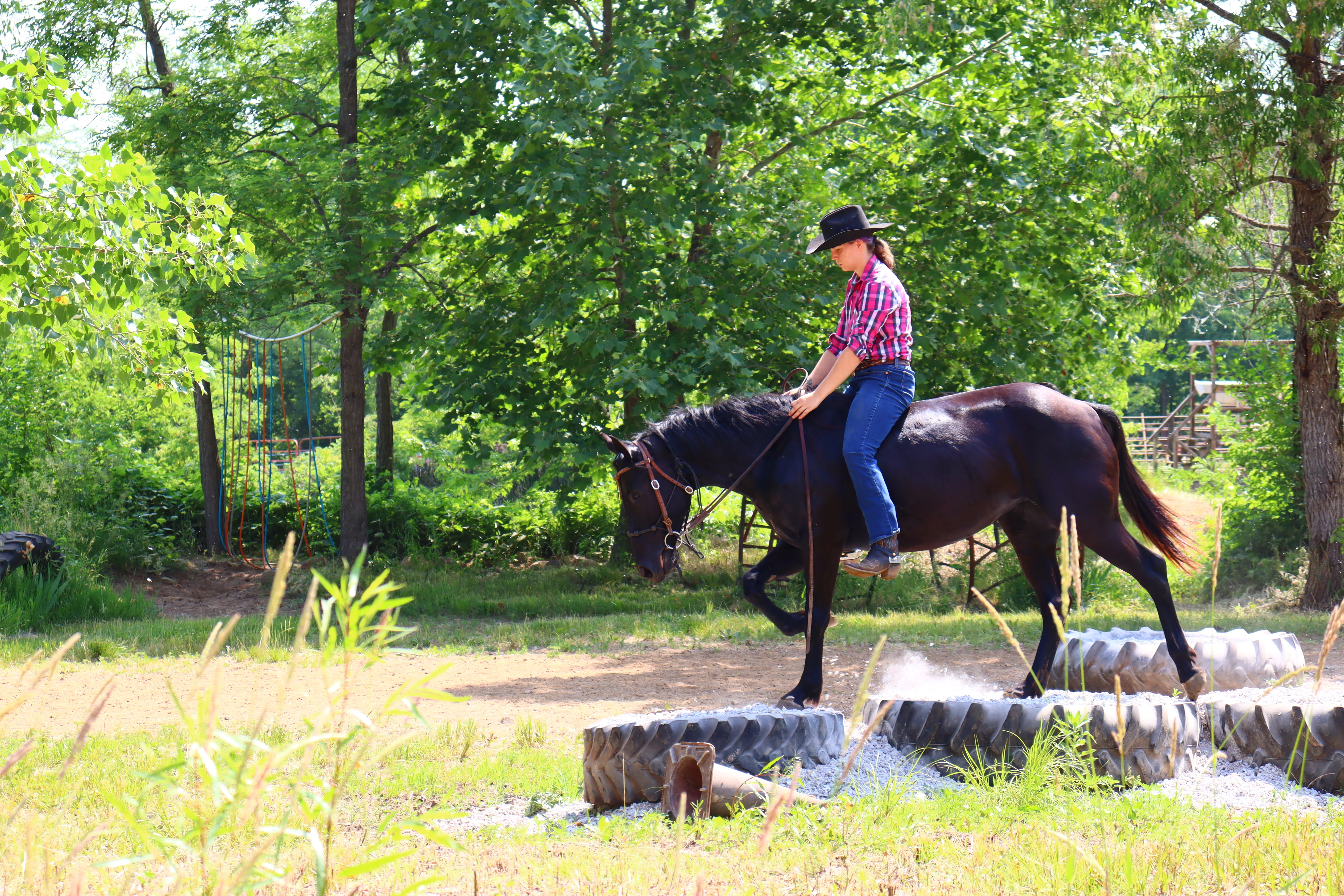 Kacey working with Rocky under saddle