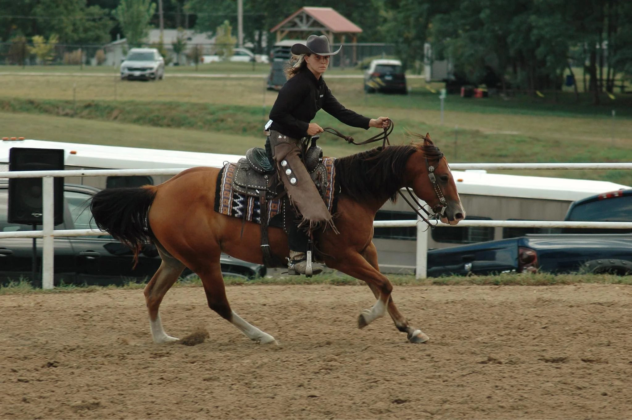 Quiet connection with a horse in training