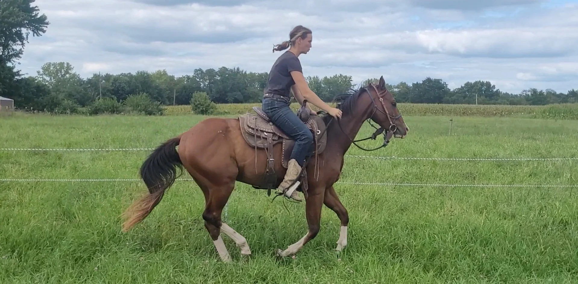 Loping on Whisper