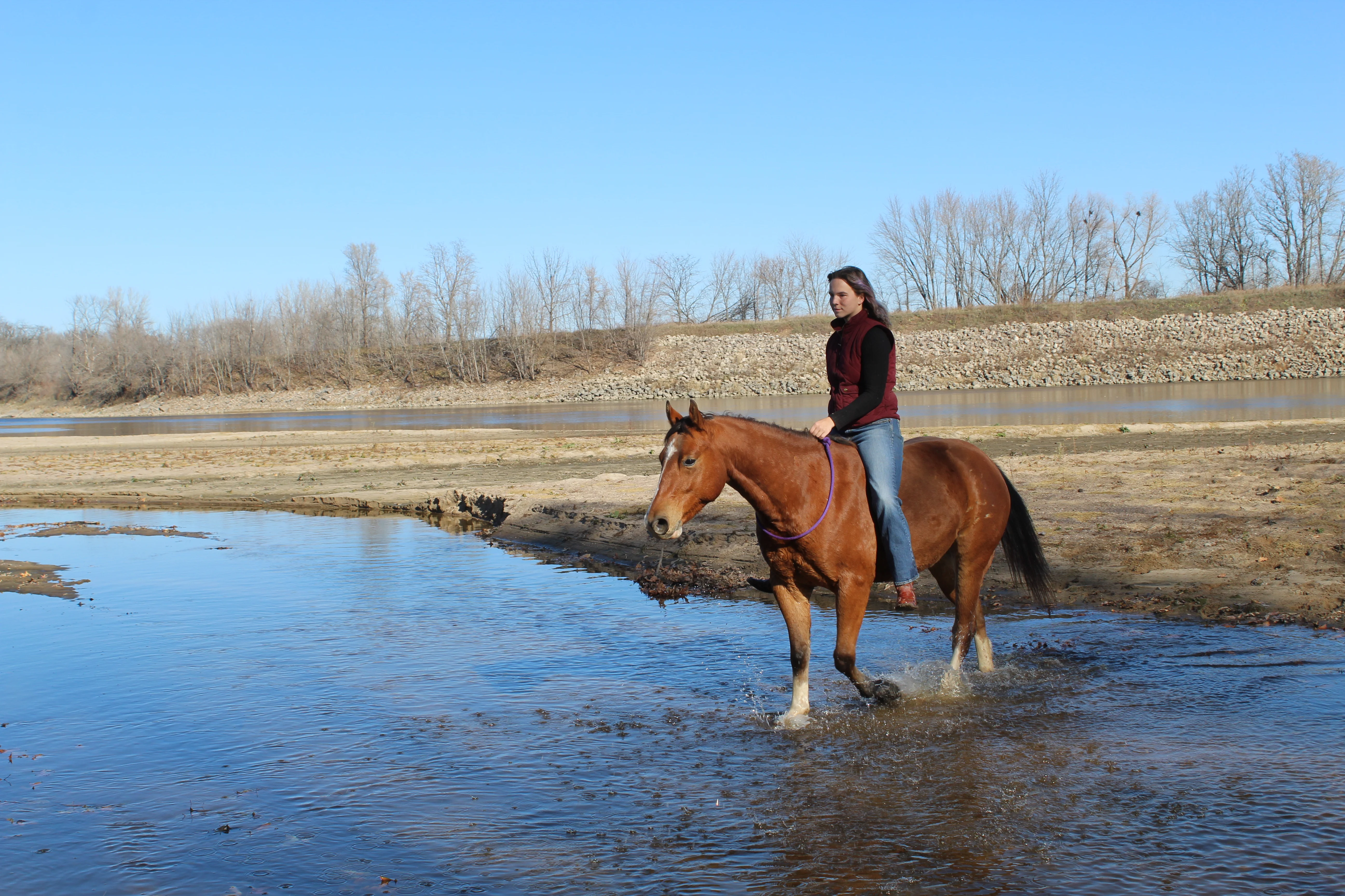 Bridleless connection moment at sunset.