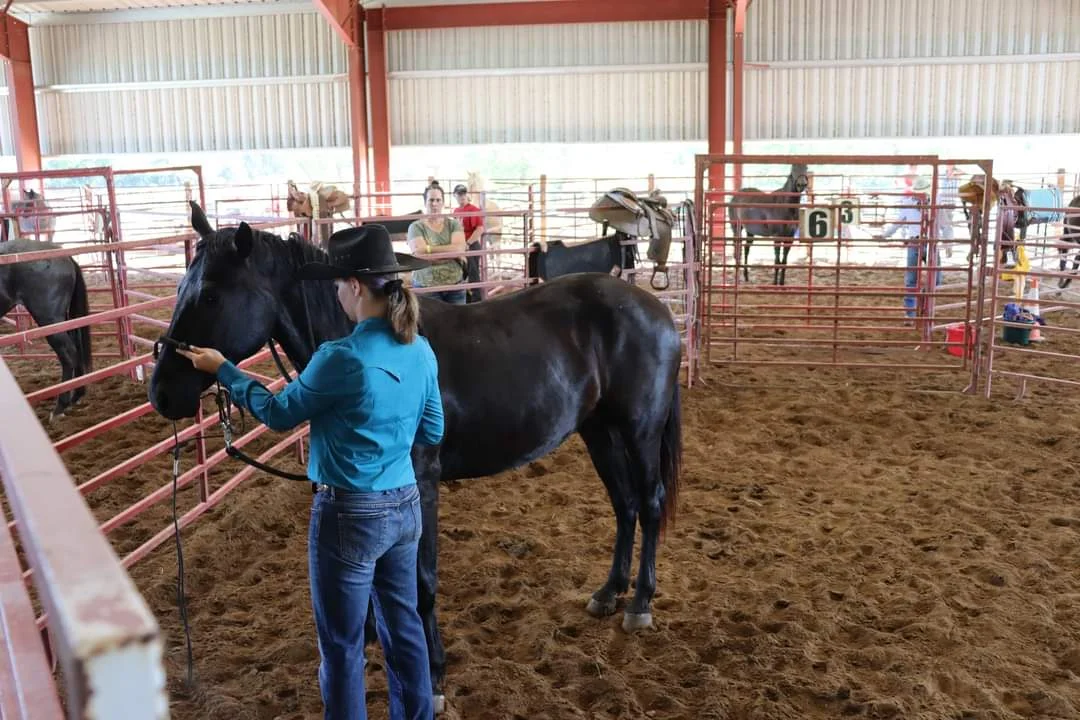 Colt starting: soft, first rides.